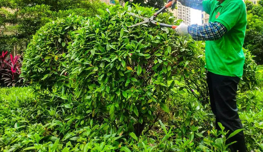 鄭州綠化工程價(jià)位表