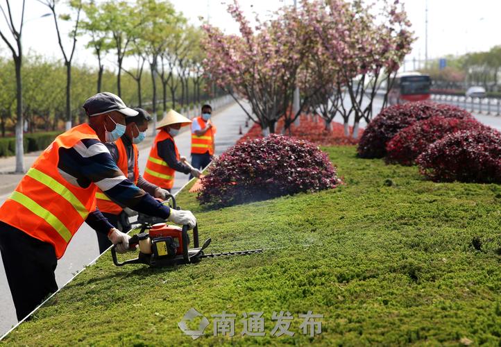 于洪區(qū)綠化亮化工程安裝