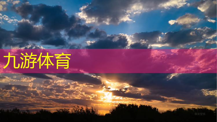 寶山城市綠化護欄網(wǎng)